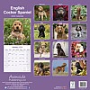 English Cocker Spaniel Calendar